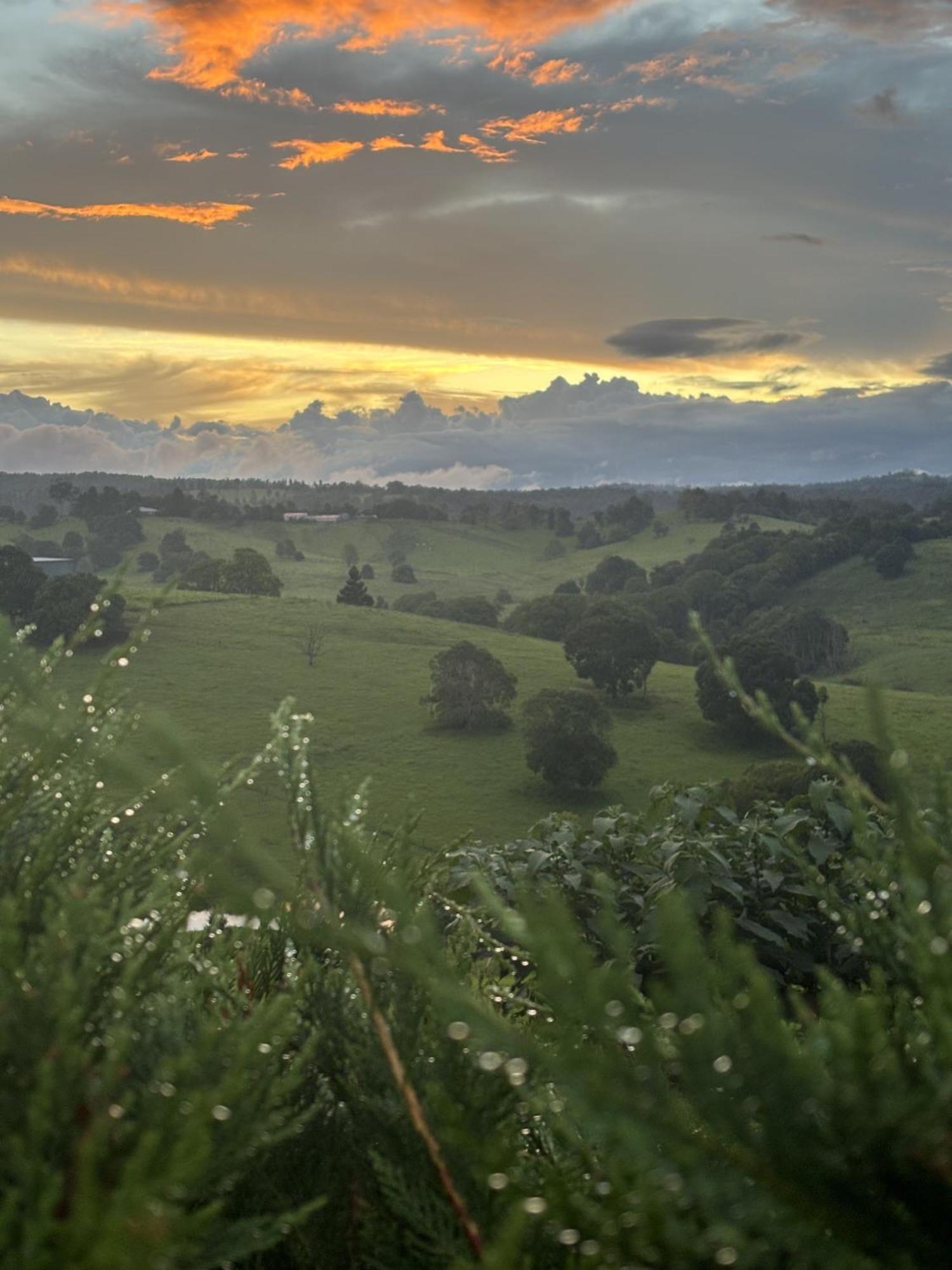 Ten Acres Beechmont Dış mekan fotoğraf
