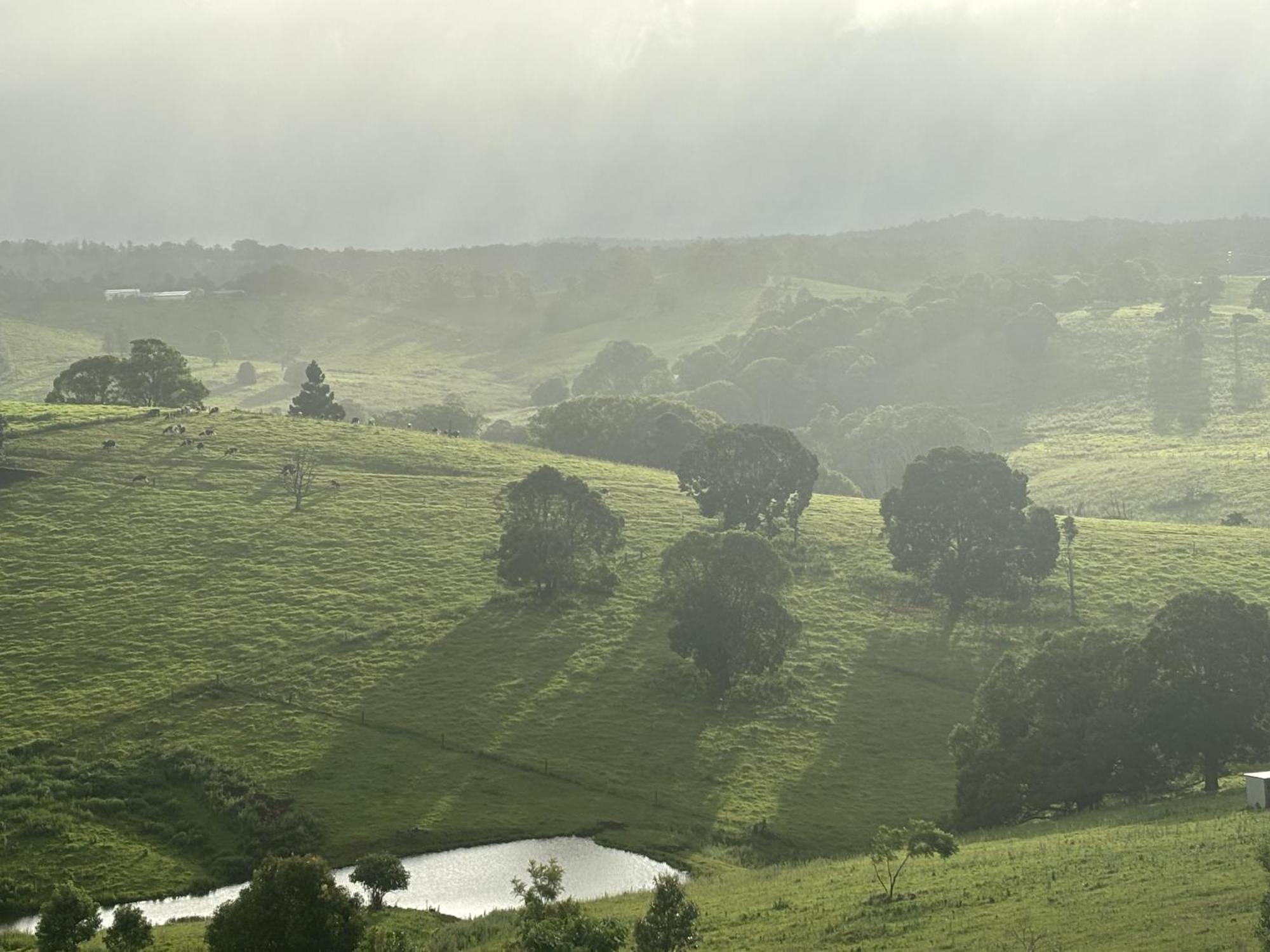 Ten Acres Beechmont Dış mekan fotoğraf