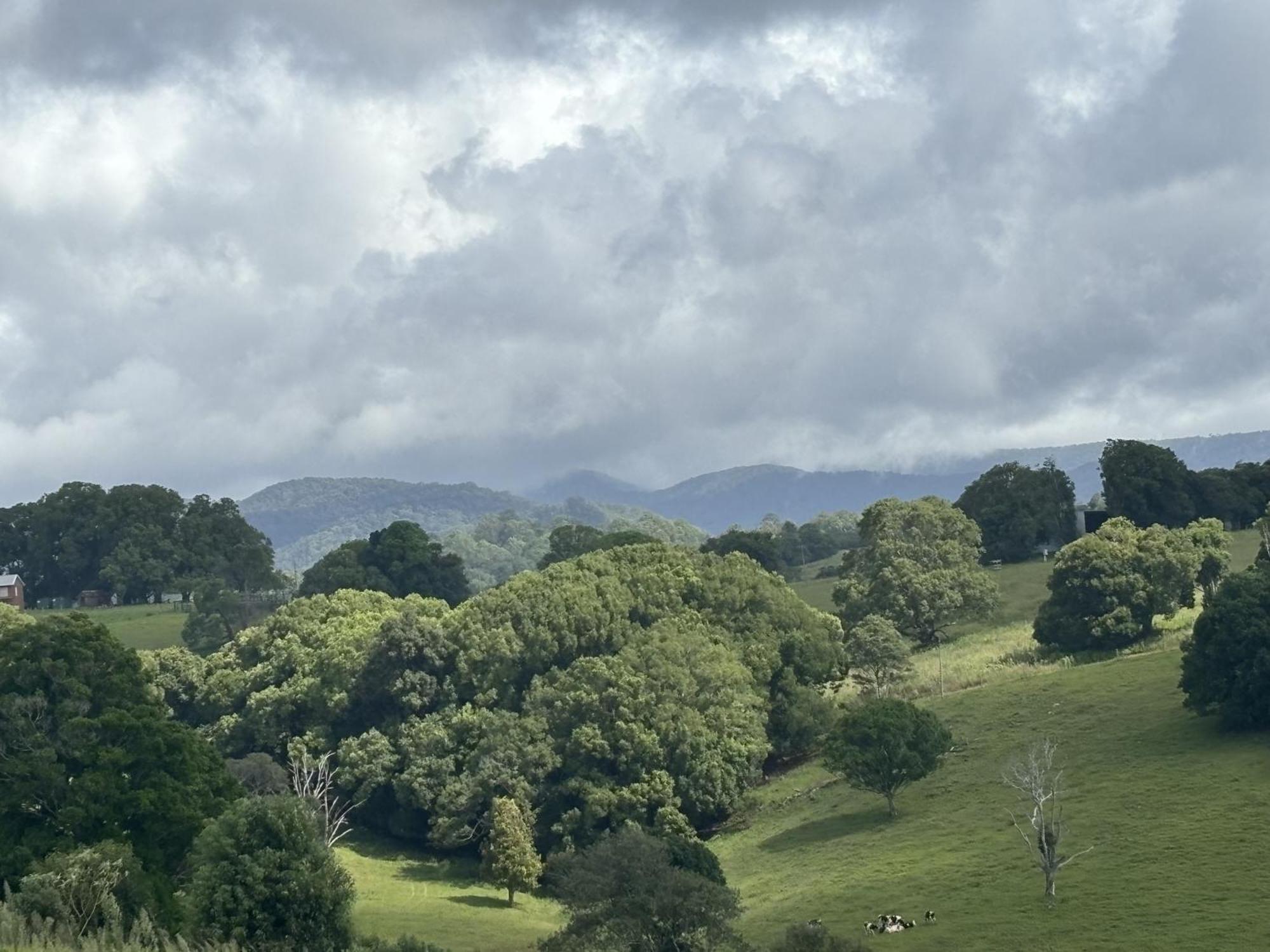 Ten Acres Beechmont Dış mekan fotoğraf
